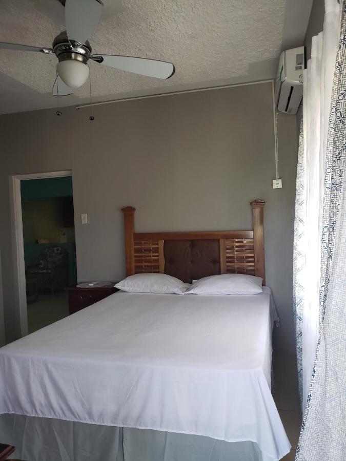 Lion'S View Bed & Breakfast マンデビル エクステリア 写真